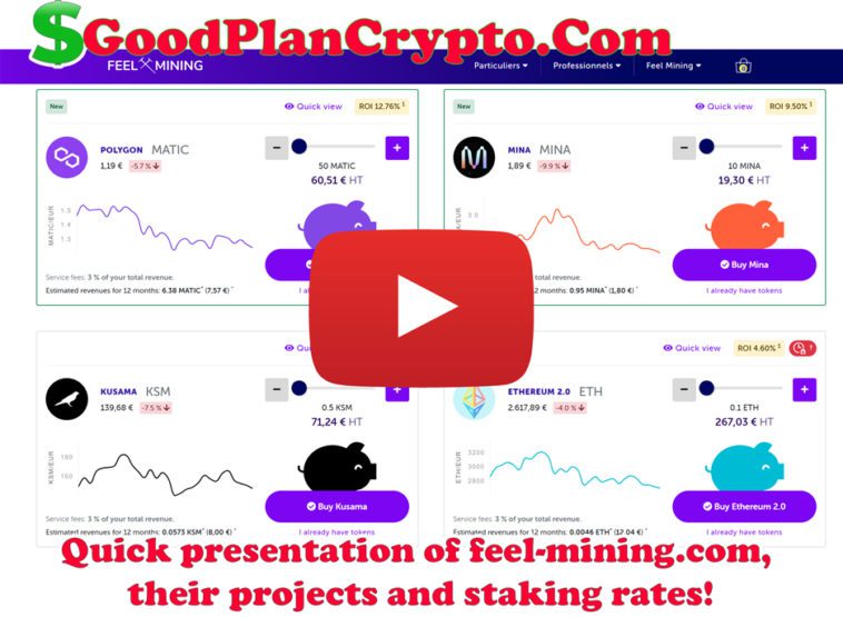 Quick presentation of feel-mining.com, their projects and staking rates! 📋